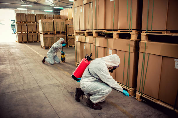 Best Exterminator Services  in Clarkdale, AZ