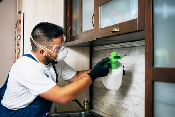 Best Pest Prevention Services  in Clarkdale, AZ