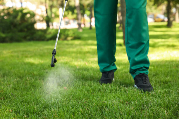 Best Affordable Pest Control Services  in Clarkdale, AZ