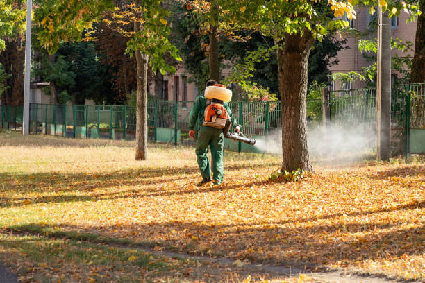 Best Termite Control Services  in Clarkdale, AZ